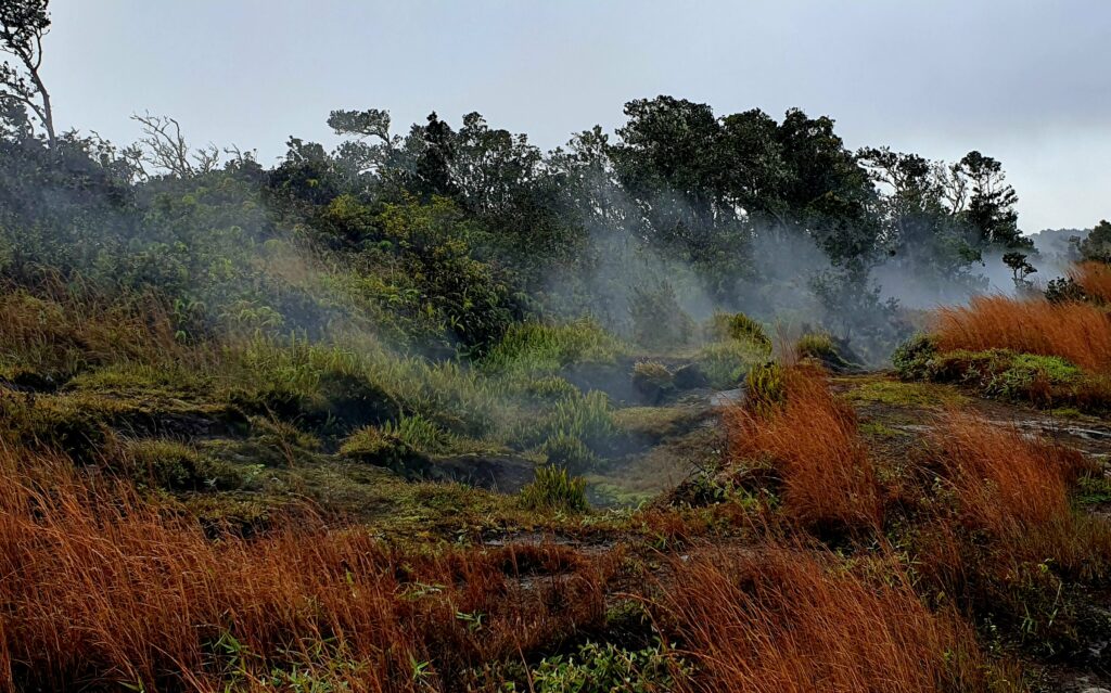 Fumeurs au bord du cratère du Kilauea